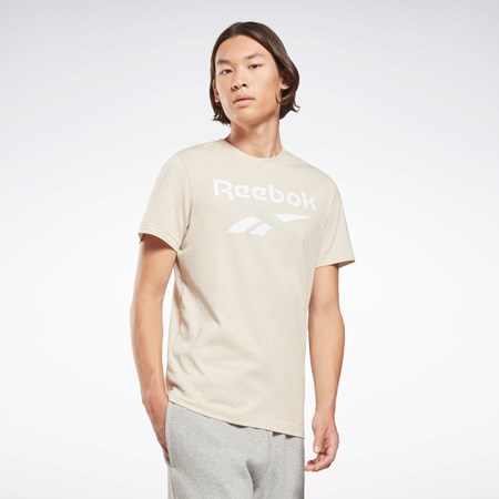 Reebok Reebok Identity Big Logo T-Shirt Stucco | WJTGAE-472