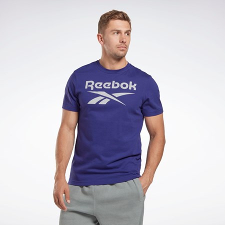 Reebok Reebok Identity Big Logo T-Shirt Lilla | ZRFOUK-026