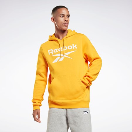 Reebok Reebok Identity Fleece Hoodie Gull | EKNJST-095