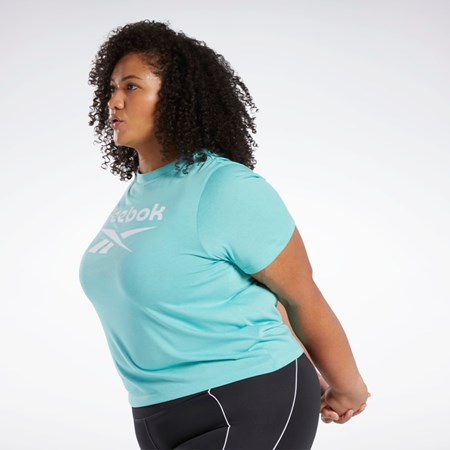 Reebok Reebok Identity T-Shirt (Plus Size) Semi Classic Teal | HEDMFC-956