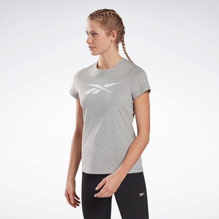 Reebok Trenings Essentials Vector Grafiske Tee Grå | XQHIUR-096