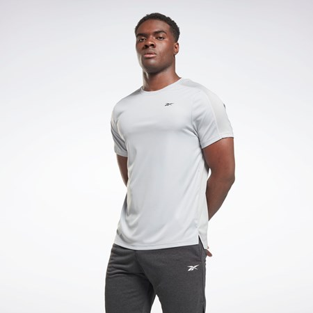 Reebok Workout Ready Tech T-Shirt Grå | RAQGOS-840